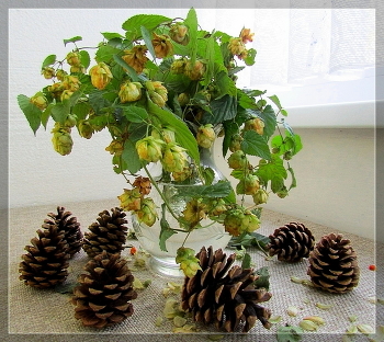 Still Life / ***