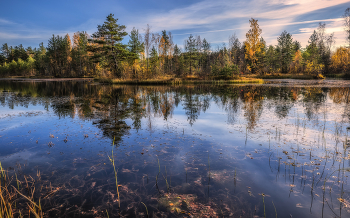 Schatten der Herbst- / ***