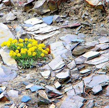 irgendwo in den Bergen / ***