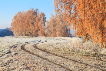 Die ersten Frost / ***