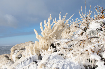 Der Winter kam / ***