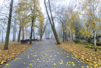 Im Herbst Park / 2022