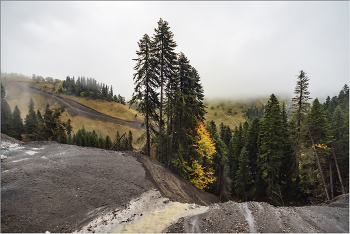 Der Herbst ist in die Berge kommen / ***