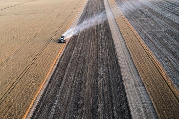 Battle for the harvest / ***