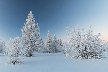 Frosty Day / ***