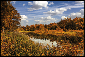 Herbst-Skizzen / ***