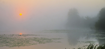 Nebel in der Morgendämmerung. / ***