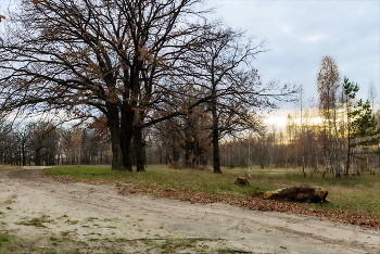 Auf dem anderen Ufer. / ***