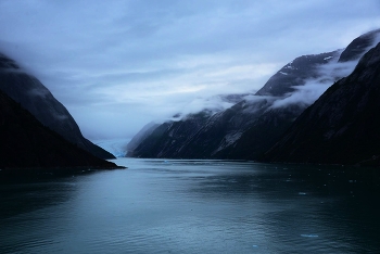 &nbsp; / Alaska, Tracy Arm Fjord