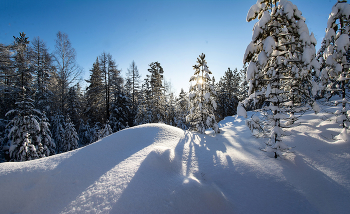 Winter / ***