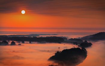 Nebliger Morgen / ***