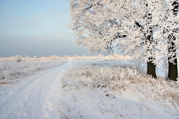 Anfang Dezember / ***