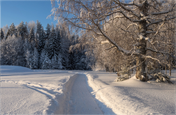 Im Wald am Rande / ***