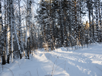 Winter / ***