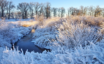 Rime / ***