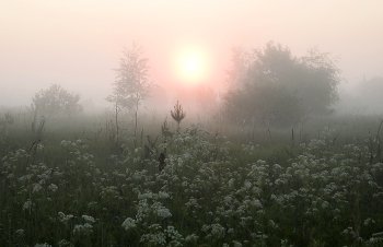 Erinnerung an Sommer. / ***