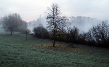 Nebliger Morgen / ***