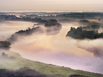 The River / ***