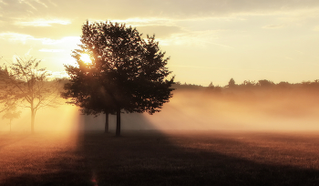 Nebel zerstreut / ***