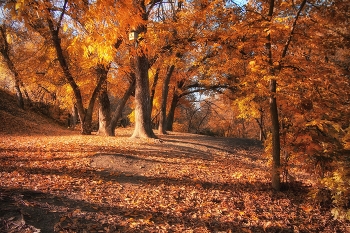 Goldener Herbst / https://www.youtube.com/watch?v=xDf0vlPNhQk