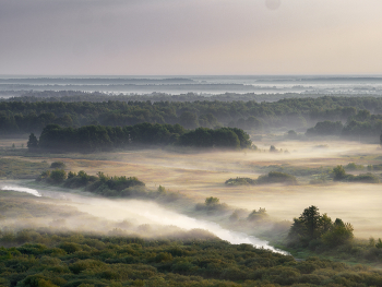 Nebel zerstreut / ***