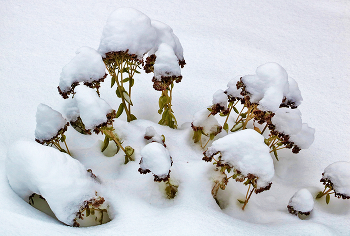 Nach Schneefall / ***