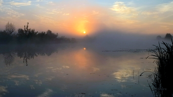 Morgen auf dem See. / ***