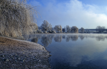 Frosty morning / ***