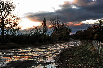 Nach dem Regen / ***