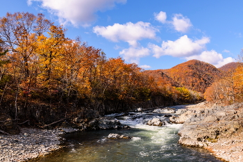 Goldener Herbst / ***