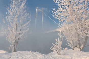 Schrägseilbrücke / ***