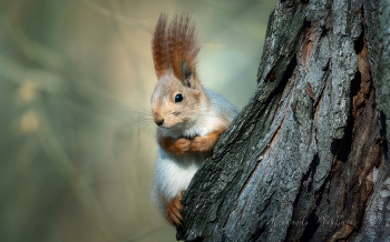 Portrait von Proteinen / ***