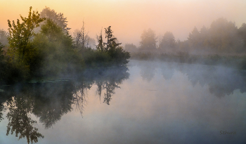 Nebel in der Morgendämmerung. / ***