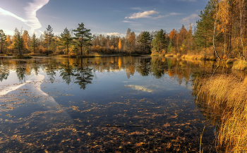 Die Erinnerung an den Herbst / ***