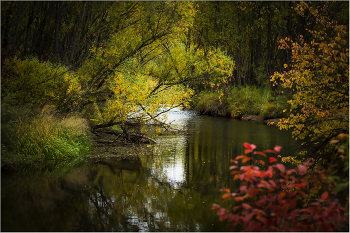 Am Fluss / ***