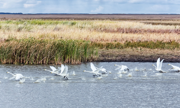 Für den Start / ***