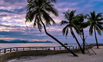 Morgendämmerung / ***