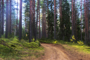 Mit den ersten Strahlen / ***