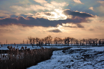 Winter Abend ... / ***