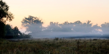 Nebel in der Morgendämmerung. / ***