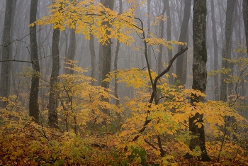 Herbst-Outfit / ***