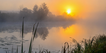 Herbst Morgengrauen. / ***