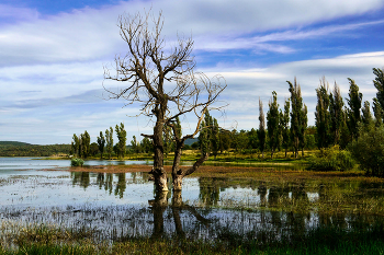 Simferopol Reservoir / ***