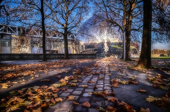 Herbst in der Stadt / ***