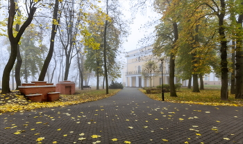 Im Herbst Park / 2022