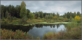 Herbst / ***