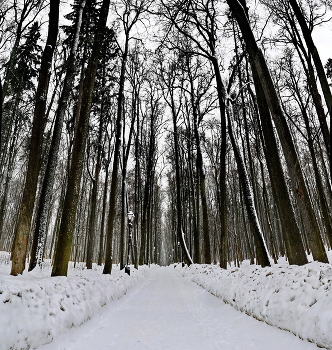 Dunkle Gasse / ***