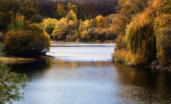 malen November / ***