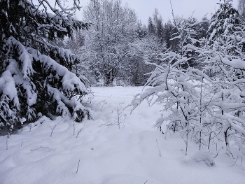 Winter Lake / ***