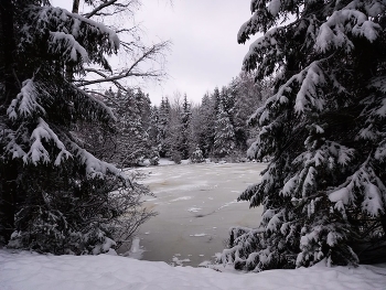 Winter Lake / ***